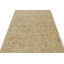 One-of-a-Kind No Hand Knotted Area Rug