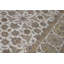 One-of-a-Kind 8'2" X 10'1" Area Rug