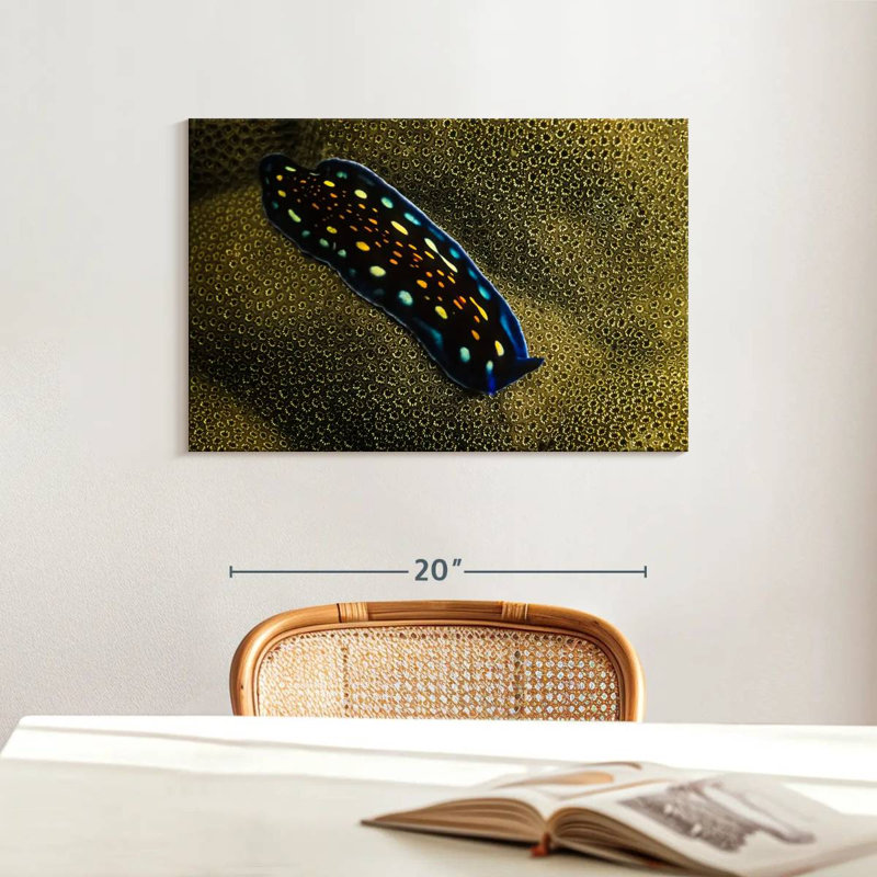 Linda's Flatworm, 16" H x 24" W