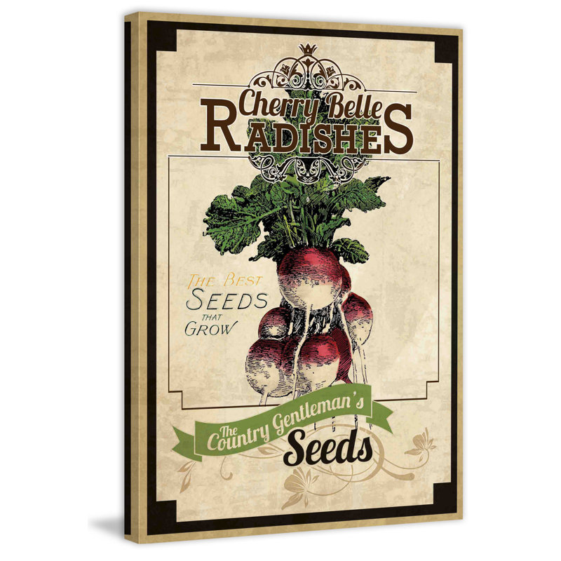 « seed packet radishes », reproduction d’art sur toile tendue, H 36 po x l 24 po