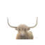 Highland Cow - Wrapped Canvas Painting-1277087239