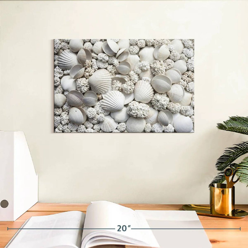 Aletra White Seashells, 8" H x 12" W