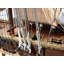 Bateau miniature USS Constitution