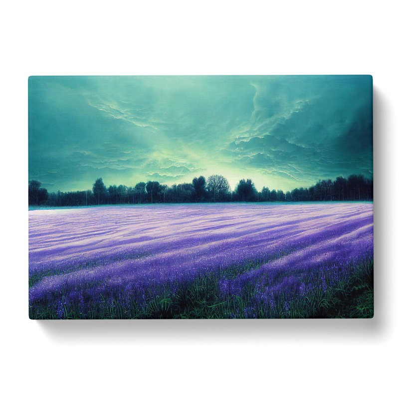 Illuminated Bluebell Field - Wrapped Canvas, 35cm H x 50cm W x 3cm D