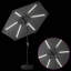 Parasol-1735911136