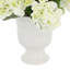 Peonies and Hydrangeas Arranged in Ceramic Vase