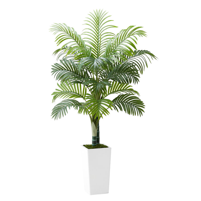 Faux Palm Plant in Planter, 152.4cm x 100cm
