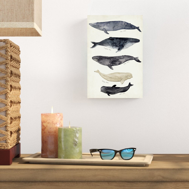 Reproduction d’art sur toile tendue « Whale Chart II » par Victoria Barnes, H 12 po x l 8 po