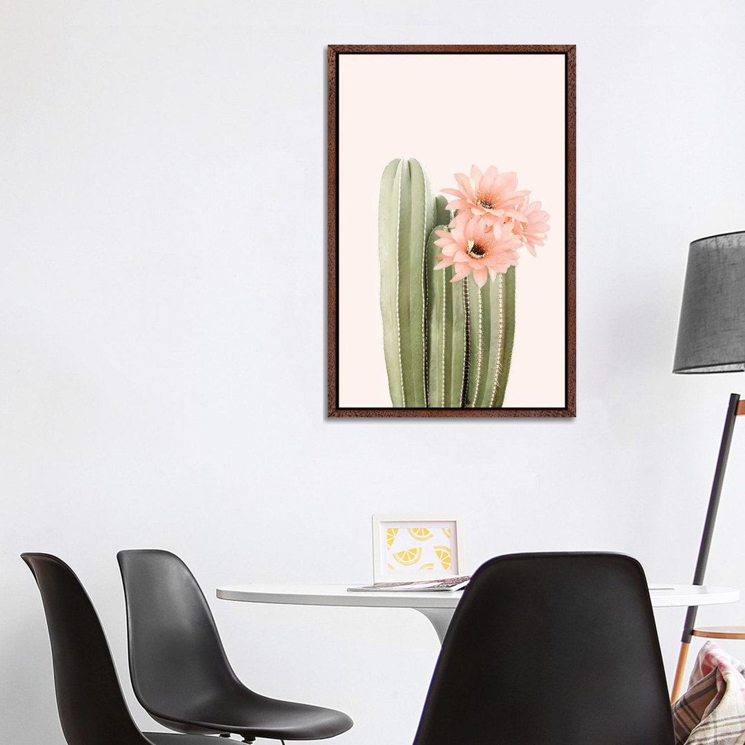 Cactus Flowers von Sisi & Seb - Galerie-verpackte Leinwand Giclée auf Leinwand