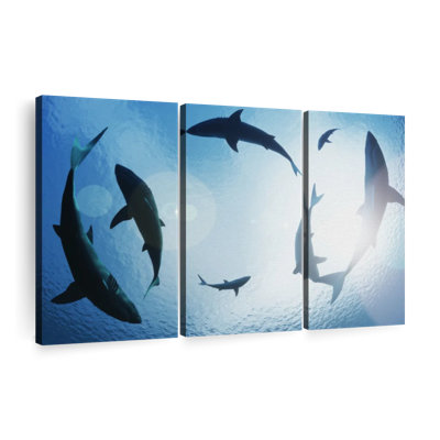 «School Of Sharks» sur toile