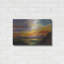 Brayden Studio® «Sonoran Desert Sunset» par Silvia Vassileva, art mural en métal-676187283