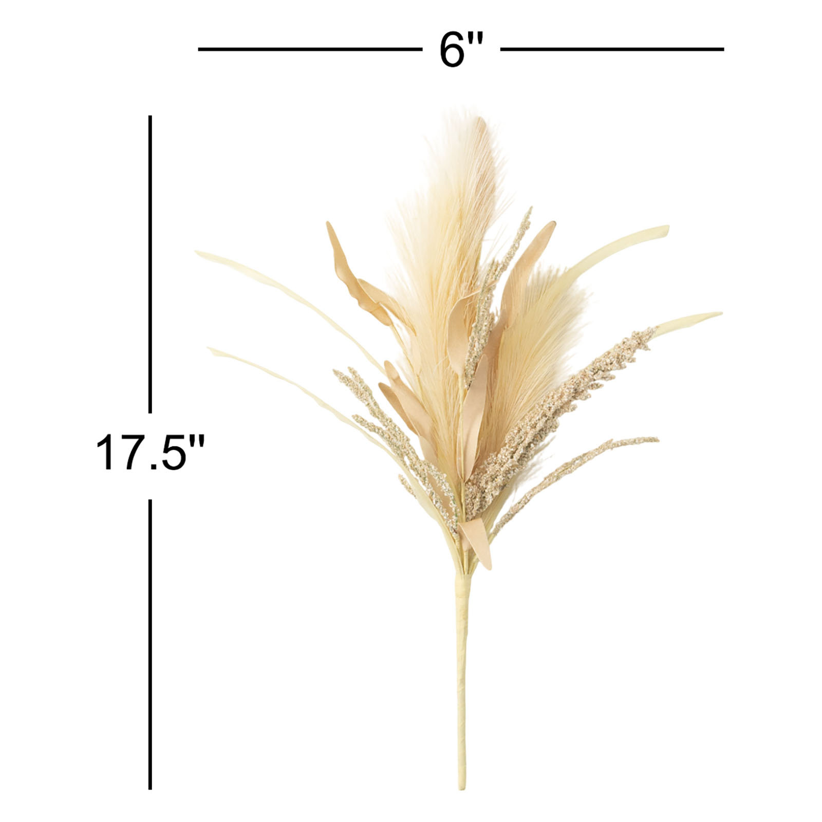 Edora Plume Grass Stems