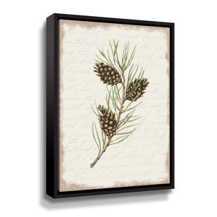" Pine Cone Botanical I "