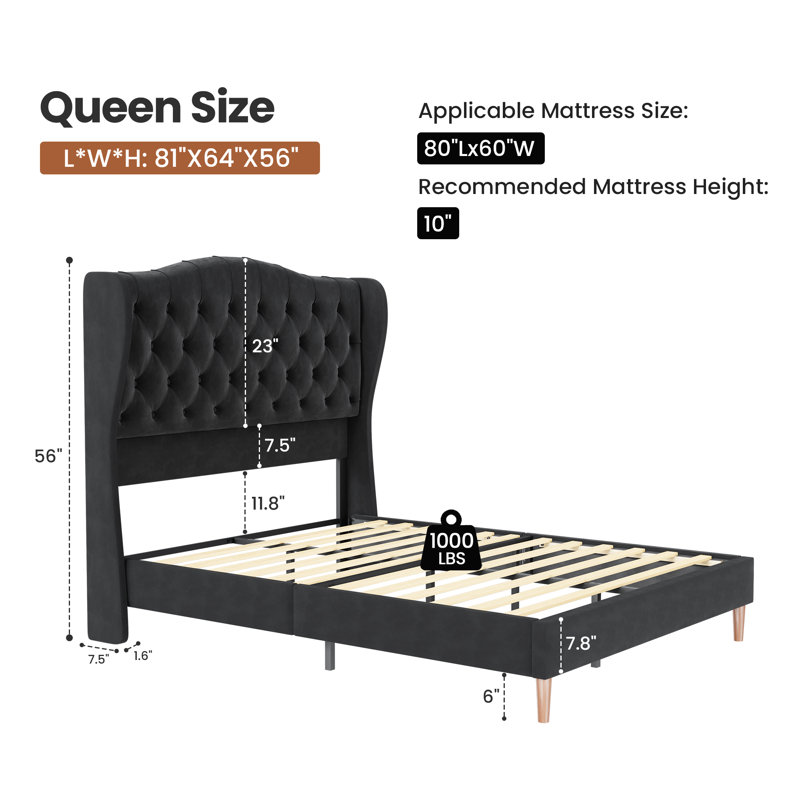 Luxury Velvet Upholstered Platform Bed Frame with 56" Wingback Tufted Headboard and Nailhead Trim, No Box Spring Required