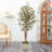 Artificial Olive Tree in Country White Planter