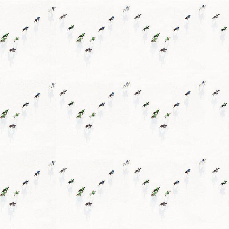 Carreau de papier peint Gray Malin Snow Polo 10 pi L x 24 po l, Faux Grasscloth, Non encollé