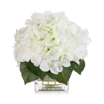 Arrangement d'hortensias dans un vase