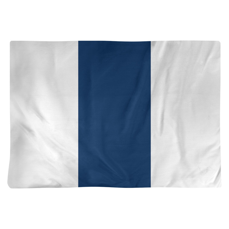 Récapitulatif 18" basket Washington, Blanc / bleu marine, Polyester