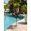 Grue bronze-1604418233