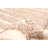 Sienna Tan Rug 5'3" x 7'9"