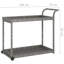 Aadhith Steel Bar Cart-700264116