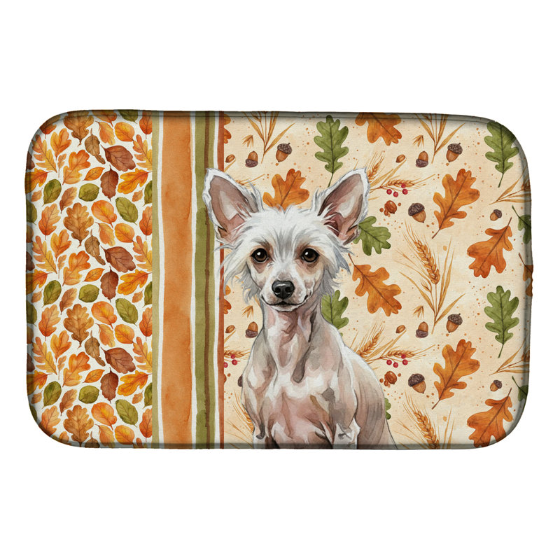 Tapis de séchage sans poils