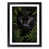Black Framed