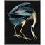 Grand Audubon 1 Print by Thom Filicia