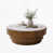 White / Wood