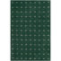 Beige Clair/Vert Foncé
