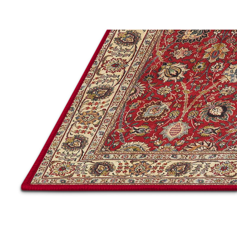Oriental Indoor Rug, Rectangle 6' x 9'