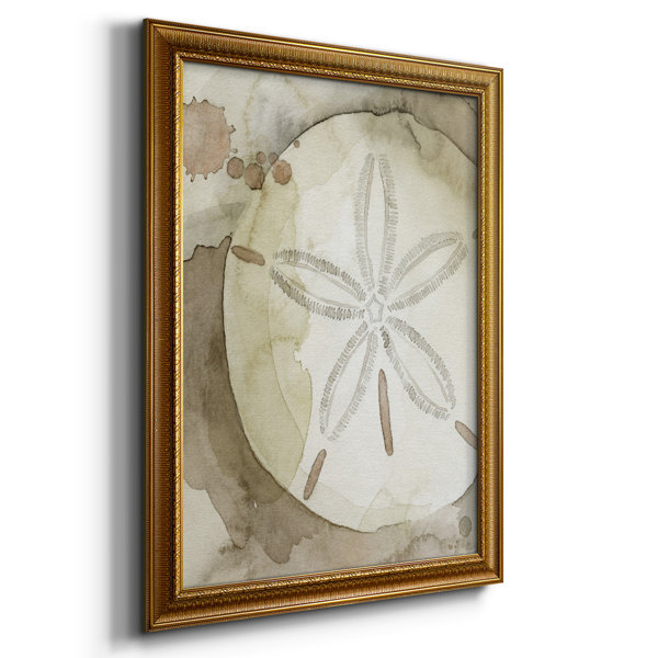 Rosecliff Heights Dry Sand Dollar II Framed On Canvas Print | Wayfair