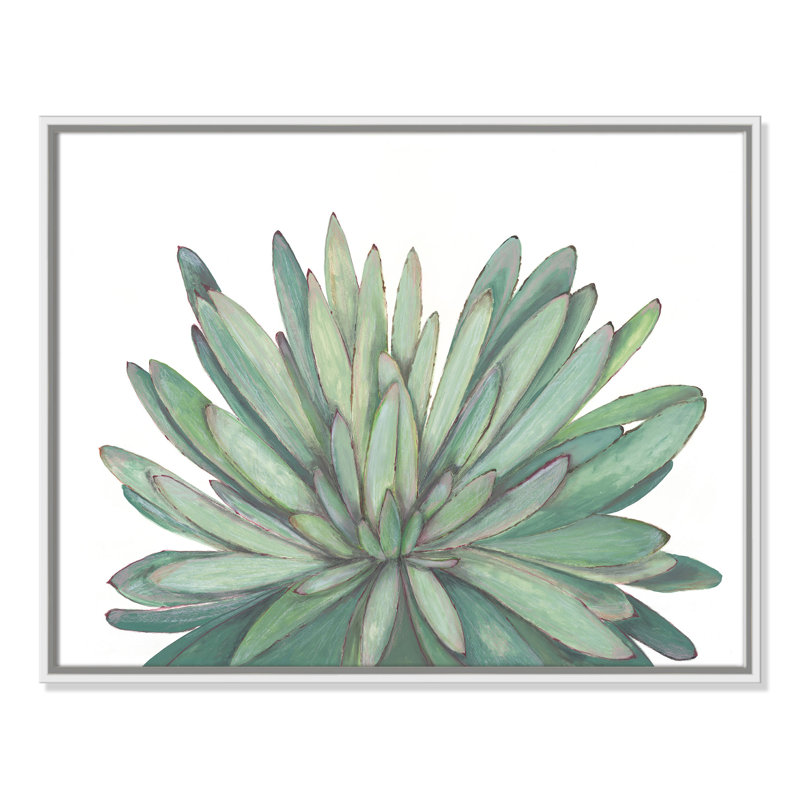 «Succulent - Floater Frame», reproduction d'art sur toile, H 22 po x l 28 po x P 2 po, Cadre blanc