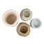 Linden-2134750670