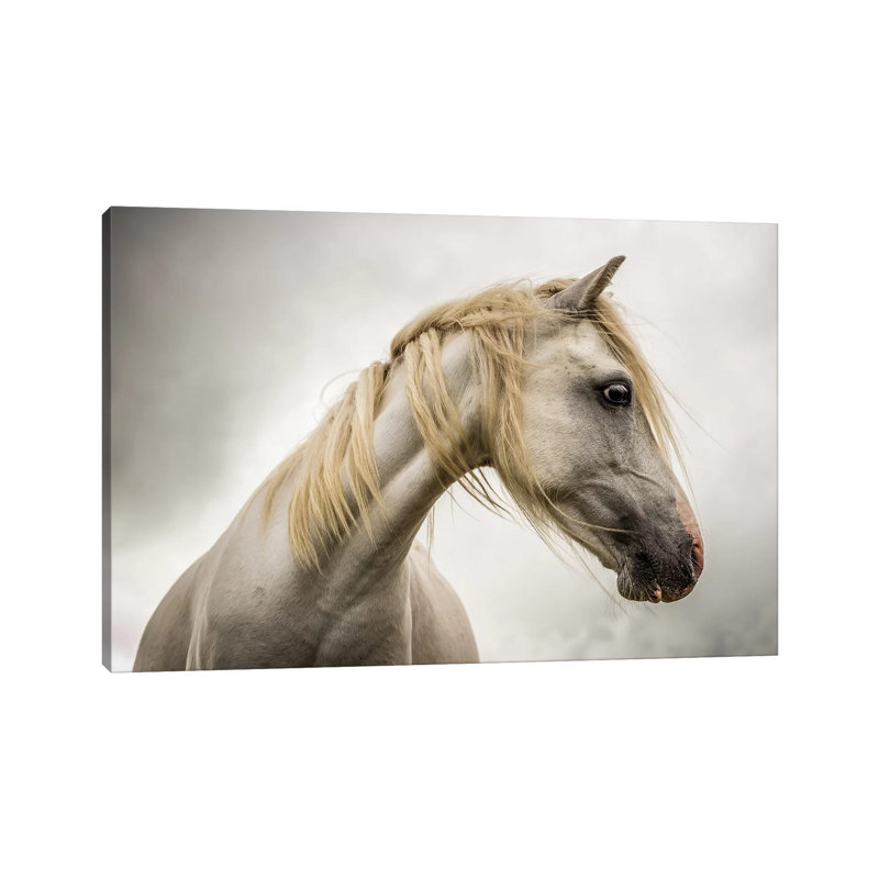 White Horse by Mark Gemmell - Wrapped Canvas Print, 101.6 cm H x 66.04 cm W x 3.175 cm D