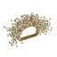 Spray Napkin Ring-51848911