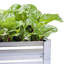 Plant Stand