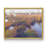 Marshland Hues II -Framed Print - Restickable