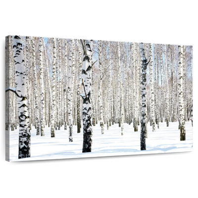 Alvord Birch Grove blanc neige