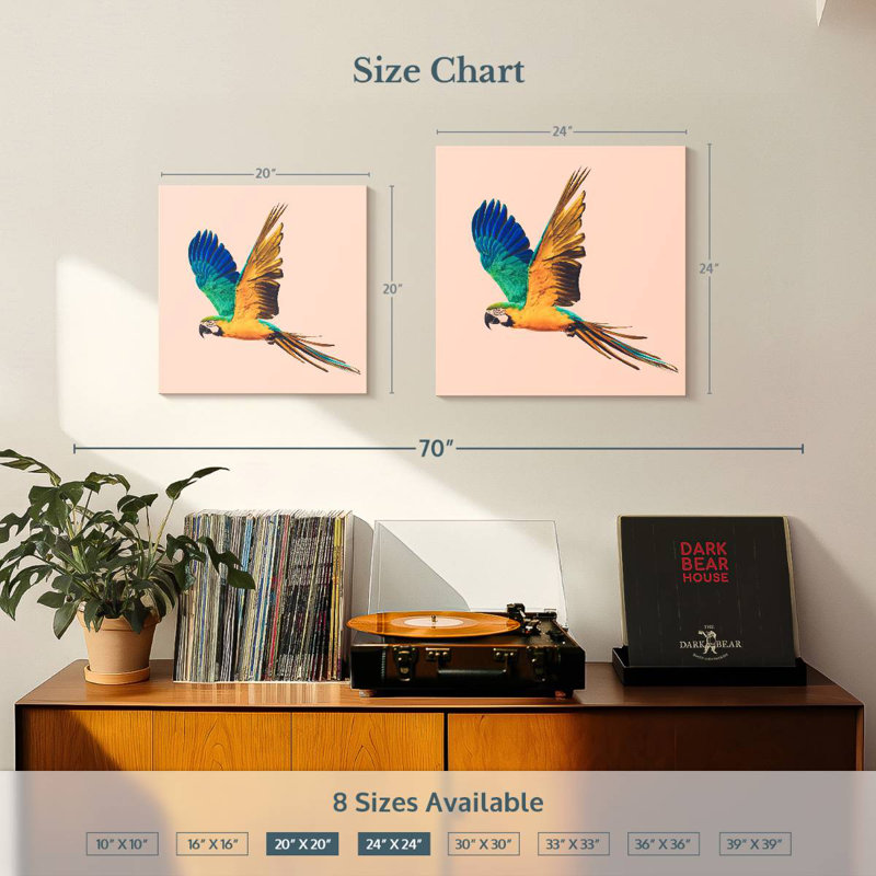 Brampt Macaw Parrot Flying, 20" H x 20" W