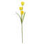 Artificial Arrangement-106401588
