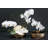 Handmade Ceramic Pot Planter-648715942