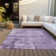  Machine Washable Indoor/Outdoor Chayden ACN1062 Rug