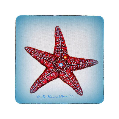 Silicone Square 4 Piece Coaster Set