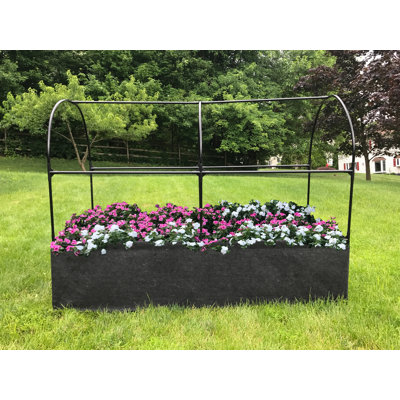 72'' W x 36'' D Cold Frame Greenhouse