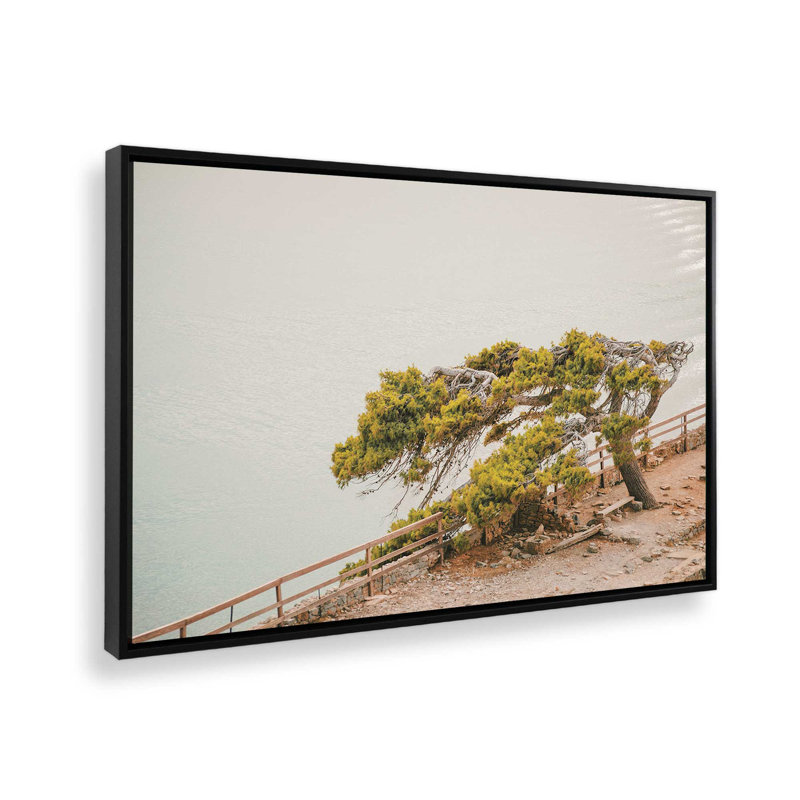 Impression sur toile Windswept Beauty, H 8,75 po x l 12,75 po x P 1,75 po, Cadre noir satiné