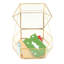 Porte-carte-cadeau pour pot de fleurs terrarium-34139485