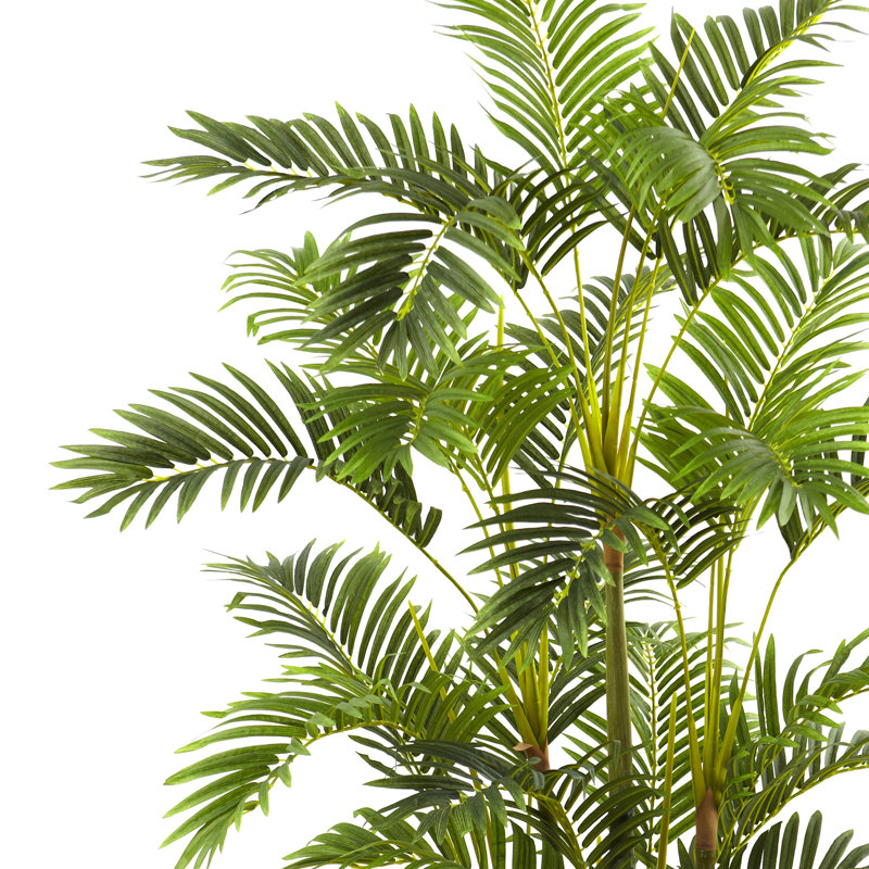 60,5 po plante à fleurs Areca en pot