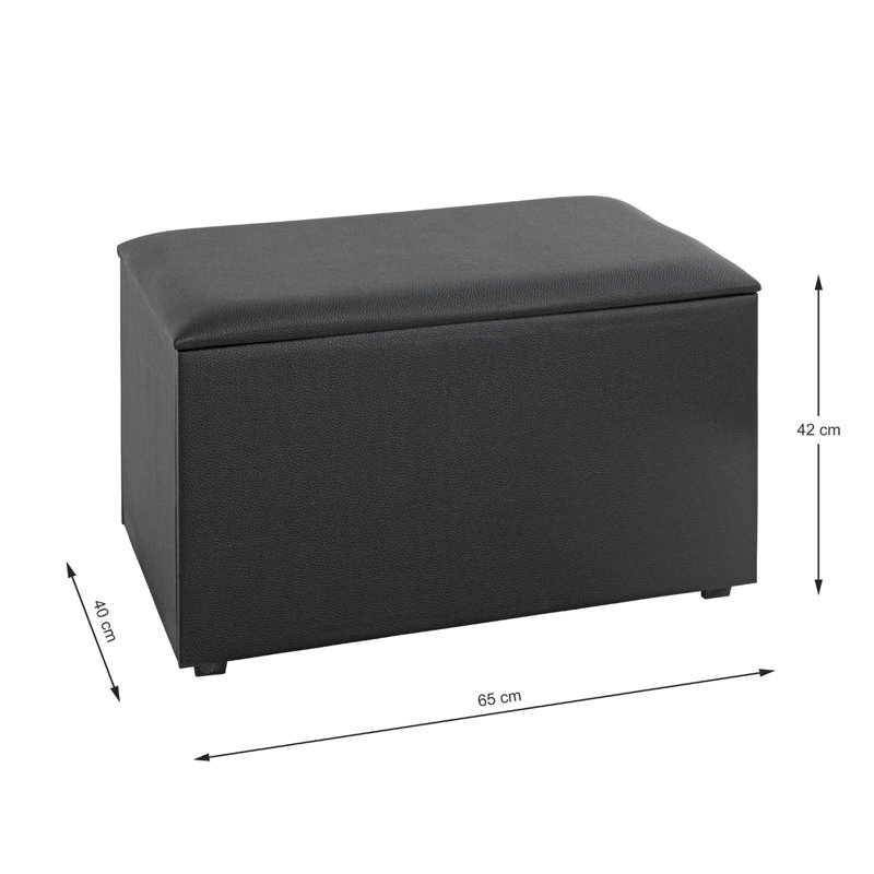 Krystof 65cm W Rectangle Footstool with Storage, Black
