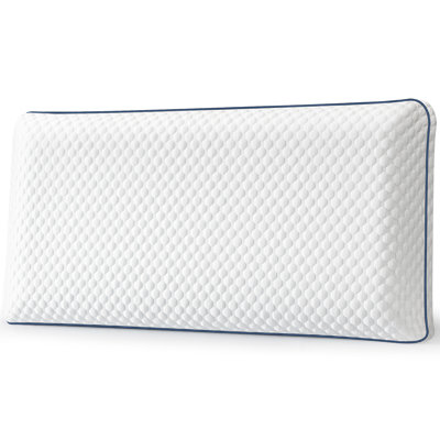 Plush Memory Foam Pillow